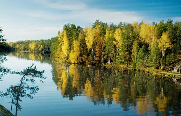 Kaunis maisema ja puita huittisissa